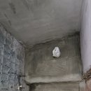 타일공사 이미지