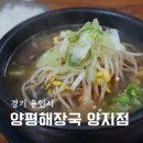 양지 해장국 | 용인 양지 맛집 양평해장국 양지점 양평해장국 내장탕 후기