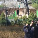 ‘멀뚱멀뚱’…동물원 탈출 소동 벌인 얼룩말 ‘세로’의 근황 이미지
