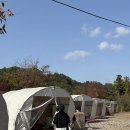 합천호 코지 | 합천호 [코지캠핑장] 후기