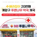 푸른나무약국 이미지