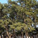 흙과나무민박 이미지