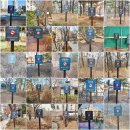 염창소공원 이미지