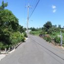 봉개동주민센터 이미지