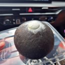 안서목장 이미지