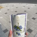 주석 건강원 | 옵스 포도주스 - 바쁘다 바빠 현대사회에 아침 대용으로 딱 추천