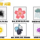 기린 하우스 이미지