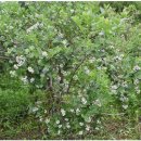 SKJ상경원요양병원 이미지