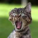 대형스크린골프 이미지