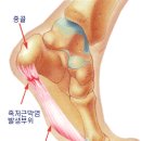 약수바디케어