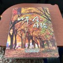 월매리(경북대부속학술림) | 숲체험: 사회인 숲, 체험교육사업 교육생 참여 후기: 나무, 숲, 사람