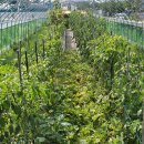 안고랑농장 이미지