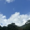 남창얼음 | [장성 남창농원] 광주 근교 1시간 이내 아이랑 물놀이 남창계곡 닭백숙(그늘,평상⭕️)