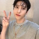 레오랜드 이미지