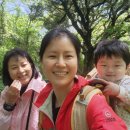 2025.05.07 (육아일지 327일)비자림,도리골토종닭,산굼부리