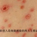 대륙세탁 이미지