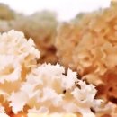 꽃송이가 이미지