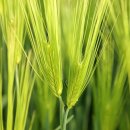 아곡낚시터 이미지