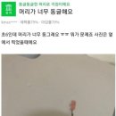머리앤드 이미지