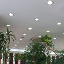 금송안경콘택트 이미지