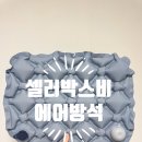 박스비 | 에어방석 추천 셀러박스비 방석 후기 비행기방석으로 딱! 30초 완성 휴대용 기내용방석