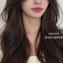 장자호수공원역
