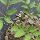 갓골농장 이미지