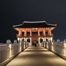 포항야경명소 영일대해수욕장 영일정 환호공원 스카이워크 후기 입장료