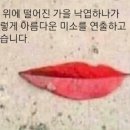 기린이야기