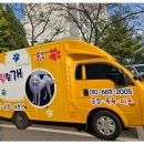 사랑할개 | 대형견애견출장미용 전주에서 안전한 미용을 책임지는 사랑할개