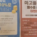 마고플레인 이미지