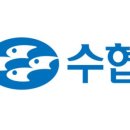 제주시수산업협동조합 이미지