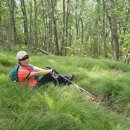 금계로1 이미지