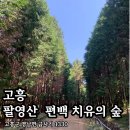 팔영산편백치유의숲주차장1 | [고흥] ‘팔영산 편백 치유의 숲’ 푸르른 자연 속에서의 힐링