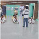다온태권도 이미지