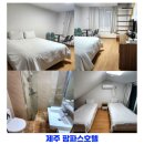 씨유 우산중앙점 | 제주 공항근처 호텔 팜파스호텔 가성비 좋은 곳 아이와 재방문 후기