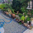 명가통큰뼈해장국 이미지