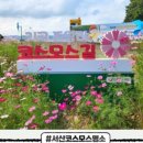 왕산어촌체험휴양마을 이미지