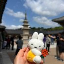 왕궁농공단지전시관 | [여행] 경주여행 ; 경주여행코스/경주핫플추천/경주여행추천장소/경주1박2일/비오는날경주여행/경주시내...