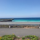 홈치펜션 이미지