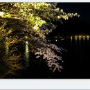 쇠    미 이미지