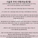 오르오르 네이버블로그