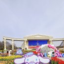 용인 에버랜드 산리오 캐릭터즈 플라워 카니발 튤립축제 내돈내산 솔직후기