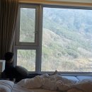 이대목장 | 2월과 3월