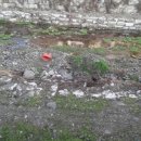 꿀맛붕어빵 이미지