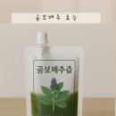 자연과 건강(산야초 이야기) | 곰보배추 즙 효소 효능, 항염부터 면역력까지 담은 자연의 힘