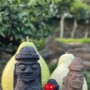 돌담이우다 펜션 이미지