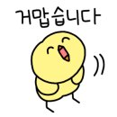 청담헤어 이미지