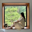 스테이246 이미지