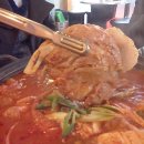 돼지우리 이미지